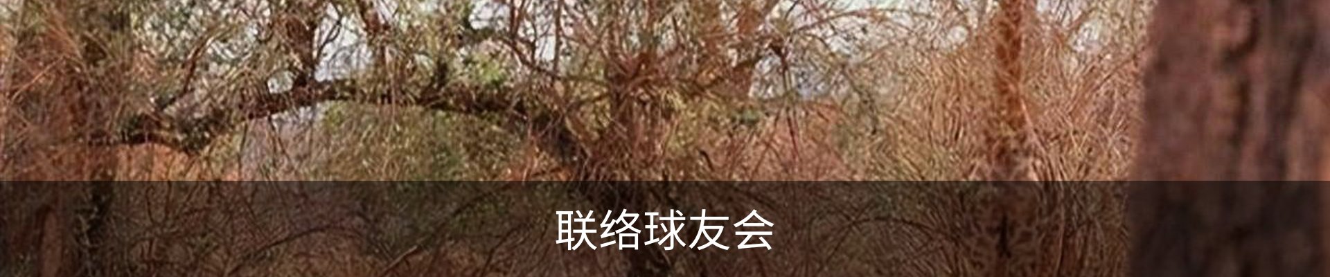 联络球友会
